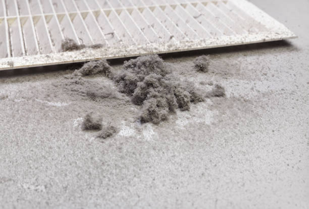 Best Ventilation Cleaning Services  in Central High, OK