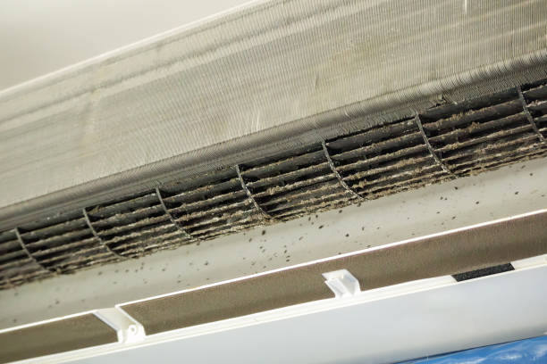 Best Home Air Vent Cleaning  in Central High, OK